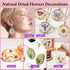 420 NESCCI Pcs Dried Pressed Flowers for Resin,Real Nature Dried Flowers for Crafts Bulk Dry Flowers Leaves Kit Used