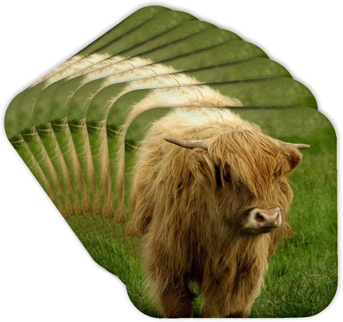 3dRose Scotland, Highland Cow - Farm Animal Soft Coasters, Set of 8 (CST_82799_2)