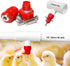1/2" DIY Chicken Watering System - PVC Tee Fittings and Chicken Waterer Nipples with PVC Pipe, Stainless Steel Hose