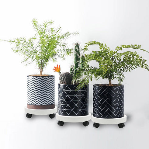 2-Pack 13" Heavy Duty Plant Caddy with Lockable Wheels, Industrial-Grade Rolling Plant Stand for Indoor/Outdoor Potted