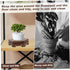 Yardwe 1pc Modern Tank Flower Stand Riser, Vintage Artware Ball Bowl Aquarium Shelf for Plants, Globe Tabletop Tray