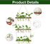 5 Bulb 3 XXXFLOWER Wall Hanging Propagation Station with Wooden Stand Vase Tiers Planters Wall Terrarium for Home