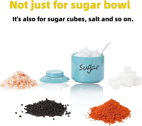 ONTUBE Ceramic Sugar Bowl with Lid and Spoon, Porcelain Sugar Pot, 8oz (Turquoise)