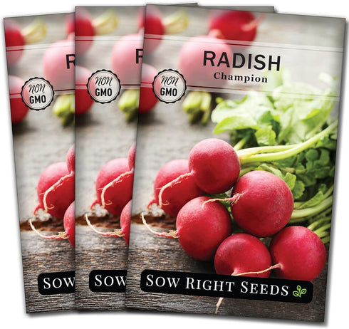 Sow Right Seeds - Champion Radish Seed for Planting - Non-GMO Heirloom
