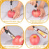 PTNITWO Apple Corer, Premium Stainless Steel Apple Corer Tool,Sturdy Ergonomic Handle, Easy to Use and Clean