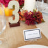 OnFireGuy 24pcs Acrylic Place Card Holder Display Stands for Wedding Place Cards, Table Numbers