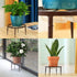DEELF OUTLET 3 Pack 9 inches Metal Plant Stands with Saucer for Indoor and Outdoor Plants Heavy Duty Potted Heavy Duty