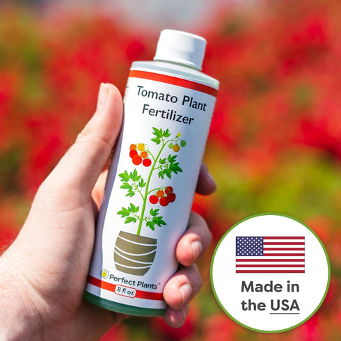 8oz. Perfect Plants Tomato Plant Fertilizer in Bottle | Help Your Vegetable Garden Thrive | Rich in Essential nutrients