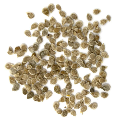 The Old Farmer's Almanac 80 Heirloom Tomato Seeds (Large Red Cherry) - Approx Seeds - Non-GMO, Open Pollinated