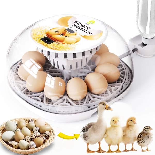 Egg Incubators for Hatching Eggs Chicken Eggs Incubator for Hatching Eggs Incubator