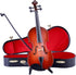Dselvgvu (7.87"x2.76"x1.26") Wooden Miniature Violin with Stand, Bow and Case Mini Musical Instrument Violin Replica
