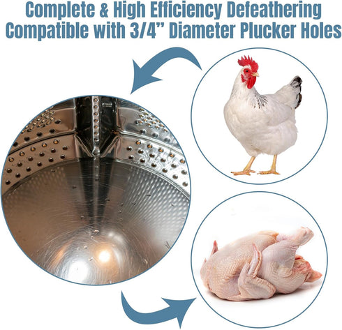 150 3/4 Inch Frienda Pcs Chicken Plucker Fingers for Machine Black Rubber Plucker Fingers Hair Removal Suit Holes