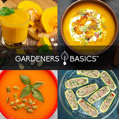 8 Packets Gardeners Basics, Squash Seeds for Planting Individual - Zucchini, Delicata, Butternut, Spaghetti, Scallop