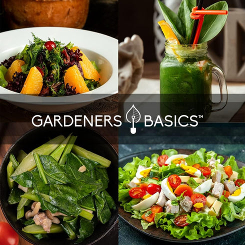 8 Packets Gardeners Basics, Leafy Garden Greens Seeds for Planting Individual - Arugula, Collards, Spinach, Swiss