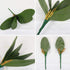 FagusHome 6 PCS Green Artificial Phalaenopsis Orchids Leaves, Faux Orchids Leaf 11 Inches