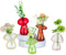 Glasseam Mushroom Plant Propagation Stations: Cute Glass Terrarium Jar Propagation Vase Set