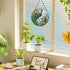 Peacock Stained Glass Suncatcher: Hand-Painted Window Wall Hanging Decor Ornament 6.5''*6.5'' for Home Garden Gift