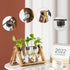 Bulb Marbrasse Plant Propagation Stations with Wooden Stand, Desktop Plant Terrarium Holder Vase, Glass Vase Container