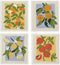 LARTSFRO Swedish Dishcloths for Kitchen, Papaya Reusable Paper Towels Washable, Oranges Peach Lemon