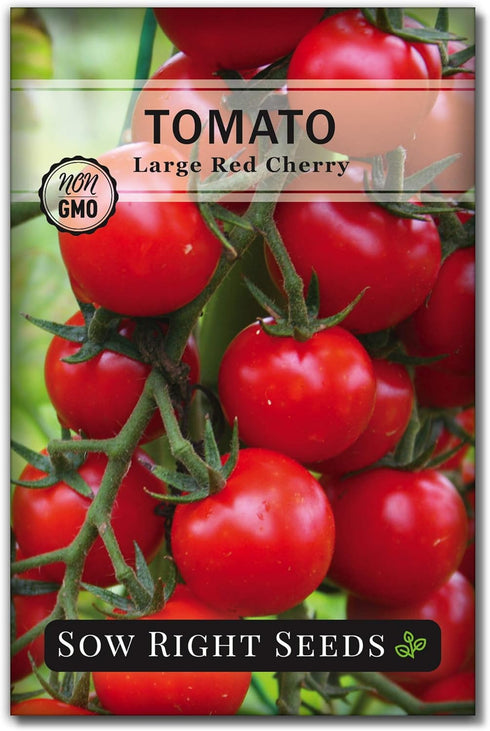 Sow Right Seeds - Large Red Cherry Tomato Seeds for Planting -