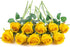 Flojery 10pcs Artificial Rose Flowers, Long Stem Fake Silk Roses for DIY Wedding Bouquet & Home Decor (Yellow)
