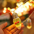 HFXXAD 10 Bulbs Decorate(6.6FT Christmas Lights Indoor, LED Clear Christmas Tree Snow Globe String Lights with Berry