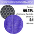 R1 HEPA Filter Replacement for YIOU R1 P1802 and Elechomes P1801, Deep Purple, 2 Pack