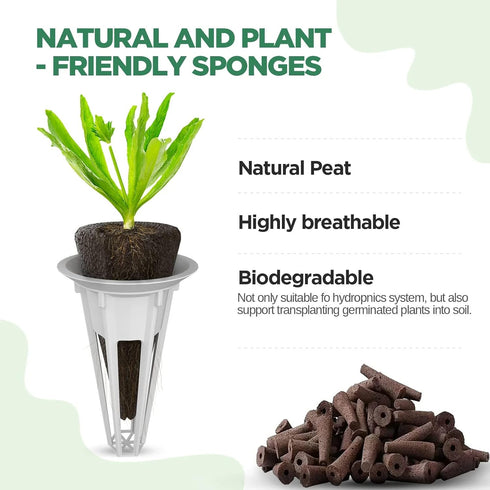 172 60 2 25 60 25 LetPot Pcs Seed Pod Kits, Hydroponics Growing Sponges, Grow Anything Kit Pod for Hydroponic