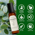2 4.06 oz Eucalyptus Fragrance Room Spray, Long Lasting Air Fresheners for Home, Room Air Freshener & Odor Eliminator