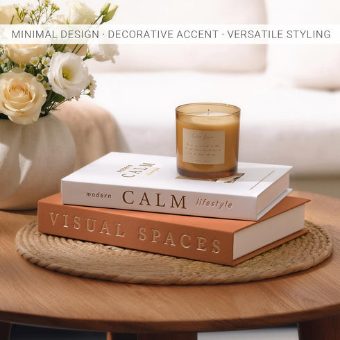 Cenjeery Set 2 Minimalist Decorative Books for Home Decor - of Aesthetic Faux/Fake Book Boxes Enhance Coffee Table