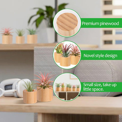 6 1.2" 1.4" Bigmeta Pcs Wood Air Plant Holder - & Rustic Style Airplant Display Stands for Women Gifts