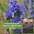 (1) Sow Right Seeds - Hyssop Seed for Planting - Medicinal Herb to Plant in Your Garden - Outdoors - Attracts