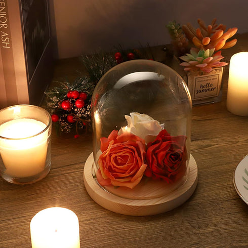 JUXYES Clear Glass Display Dome Cloche with Solid Wood Base, Transparent Dome Cloche Bell Terrarium Jar Glass Dustproof