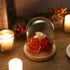 JUXYES Clear Glass Display Dome Cloche with Solid Wood Base, Transparent Dome Cloche Bell Terrarium Jar Glass Dustproof