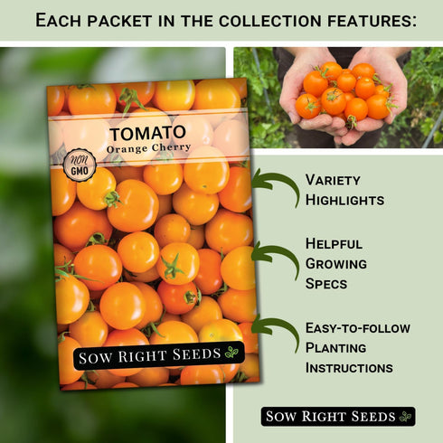 Sow Right Seeds - Yellow and Orange Tomato Seed Collection for Planting - Brandywine, Jubilee, Kelloggs Breakfast