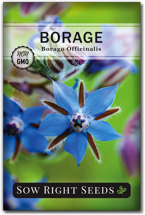 Sow Right Seeds - Borage Seed to Plant - Non-GMO Heirloom Seeds