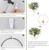 2 Pack, Pretty Jolly Wall Decor Metal Vase Decoration Holder, Mounted Artificial Flowers, Black Fake Wheat Art