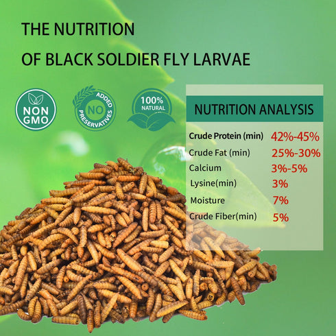 10LB-Pure Dried Black Soldier Fly Larvae Natural Non-GMO BSF Larvae for Chickens-More Calcium Than Mealworms