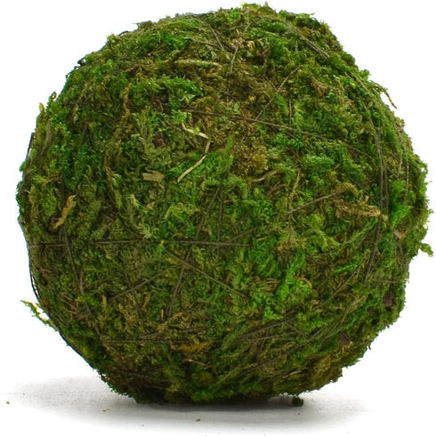 BYHER Handmade Natural Green Moss Decorative Ball, Set of 12 (2")