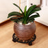 11 Inch 1 Pack Rolling Plant Stand with Wheels Wrought Iron Rolling Plant Stand with Casters Heavy Duty for Indoor