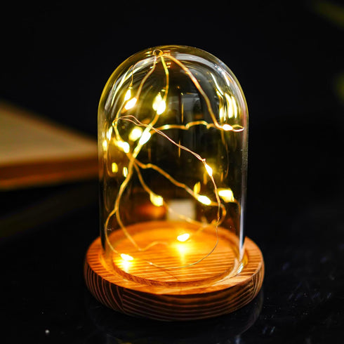 5.1" 3.9" ZEERSHEE Small Cloche Glass Dome with Wooden Base, Glass Display Dome Bell Jar for Plants, Keepsakes