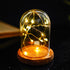 5.1" 3.9" ZEERSHEE Small Cloche Glass Dome with Wooden Base, Glass Display Dome Bell Jar for Plants, Keepsakes