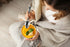 DecorRack 12 Pieces Dinner Spoons, Food Grade Stainless Steel, 7.5 Inches Flatware for Home, Restaurant, Dishwasher Safe