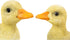 Hi-Line Gift 87697-B 2 Piece Ducklings Statue