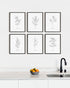 HAUS AND HUES Kitchen Herbs Wall Art Decor | Herb Prints and Kitchen Signs for Wall Decor (8"X10" Unframed)