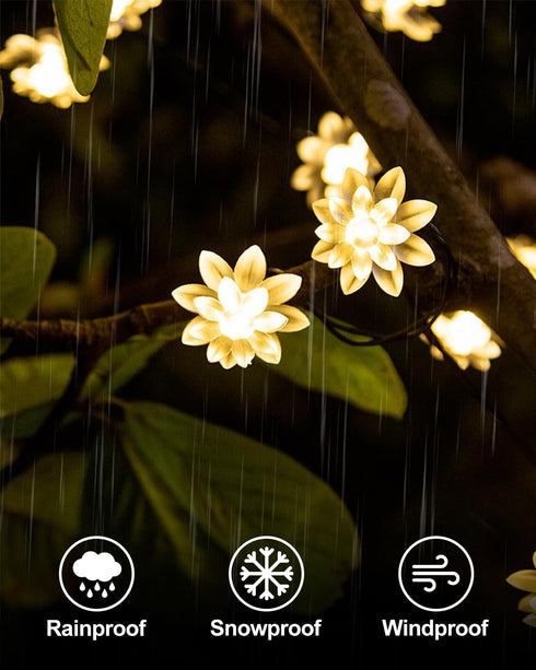 59 100 JOLYMOLY Ft LED Flower Fairy Lights with Remote Timer, Plug in Connectable Twinkle Lights with Soft Flowers