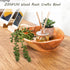 ZENFUN Wood Root Dish Bowl, Natural Handmade Serving Bowl for Snacks, Appetizer Display, 7.8''-9.5'' Diameter