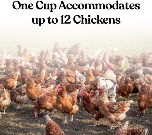 12 6 Harris Farms Chicken Water Cups, Gravity-Fed Poultry Drinkers for Up to Chickens, Automatic Hydration for Hens