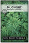 Sow Right Seeds - Mugwort Seeds for Planting - Non-GMO Heirloom Packet