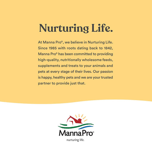 4 oz Manna Pro Bounce Back Supplement | Multi-Species Electrolyte |